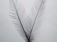 Stripped Ostrich Quill Spine Feather for Hat Making & Millinery