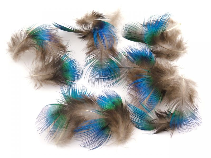 Feathers