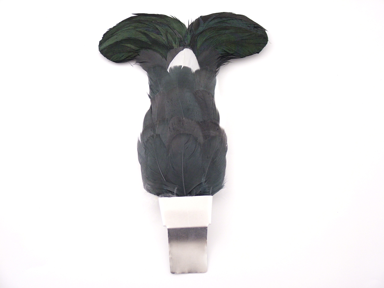 Blackcock 