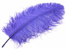 Ostrich Feathers, 100 Pieces 8-10 Turquoise Blue Ostrich Dyed Drab Body Wholesale  Feathers bulk : 2042 -  Denmark